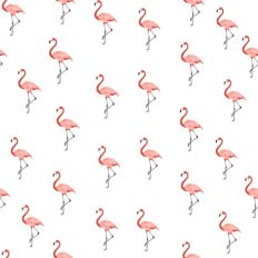 Flamingo pattern paper white background