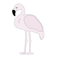 Flamingo Fiesta