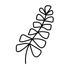 Broad Leaf Fern SVG – Hand-Drawn Botanical Line Art for Silhouette Studio