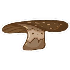 Flat Top Mushroom