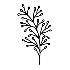 Hand-Drawn Floral Filler Branch SVG – Botanical Accent Outline Cut File for Silhouette Studio