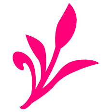 Leaf Branch Shape