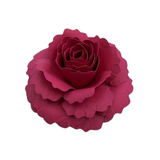 FLOWER 197 3D