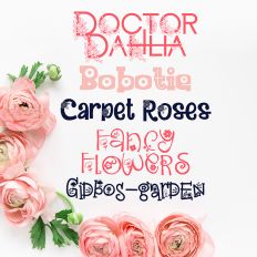 Flower Delivery Font Bundle
