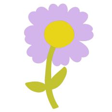 Daisy Flower