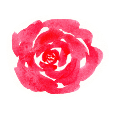 Watercolor Rose
