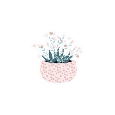 FLOWER 5