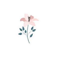 FLOWER 8