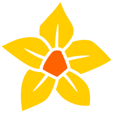Flower Bloom Silhouette