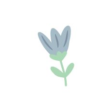 Flower Bud