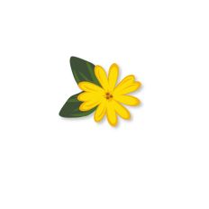 Flower - Daisy - Floral cut file