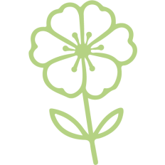 simple spring flower outline