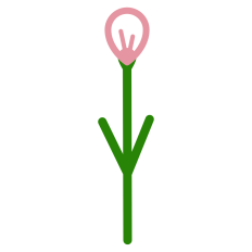 Tiny Pink Flower