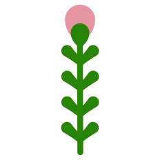 Pink Flower