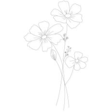 Flower Sketch