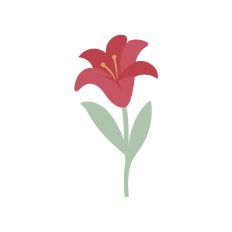 Flower Fairy Bloom
