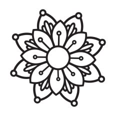 Wildflower