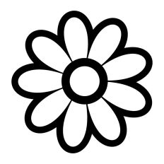 Daisy