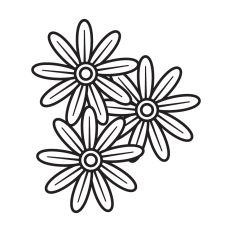 Wildflowers