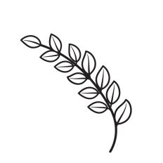 Leaves branch