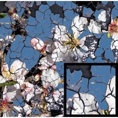 Crackled Blossom