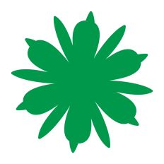 Irregular Flower Petal Shapes Design
