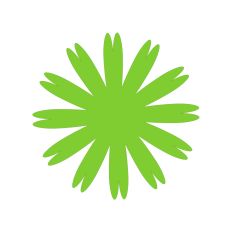 Fringed Cornflower Flower Petals SVG Design