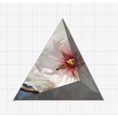 Flower Tetrahedron