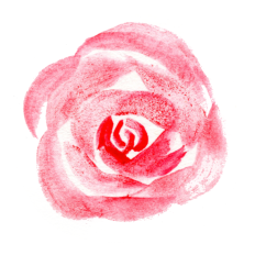Watercolor Rose