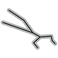 Line Taurus