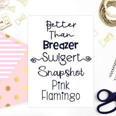 Fontarelli Font Bundle