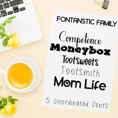 Fontastic Family Font Bundle