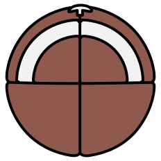 Football Ball