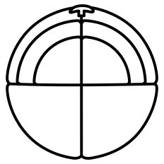 Football Ball Outline