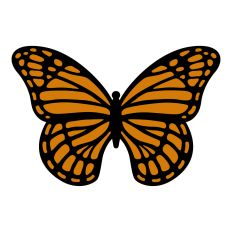 Monarch Butterfly