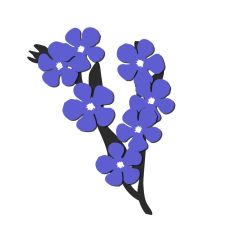 Forget Me Not Branch and Flowers