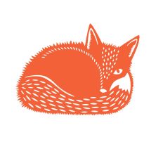 Fox curled up