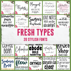 Fresh Type: 20 Stylish Fonts