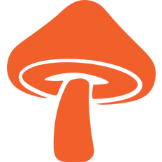 autumn orange mushroom
