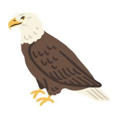 Bald Eagle Layered Design for Silhouette Studio