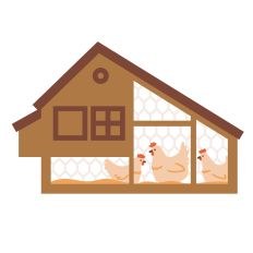 Chicken Coop Layered Design