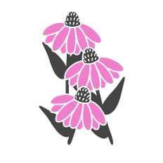Cone Flower Design - Two Colors