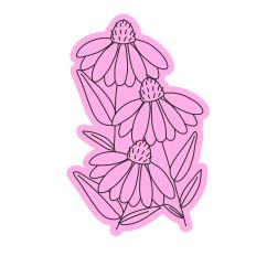 Cone Flower Sketch Design