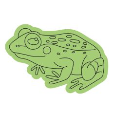 Frog Sketch Design