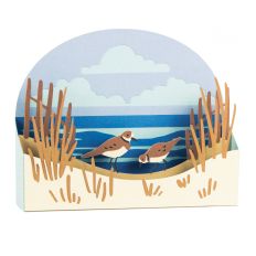 Sand Dune Beach - 3D Box Card