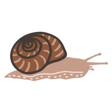 Snail Design for Silhouette Studio