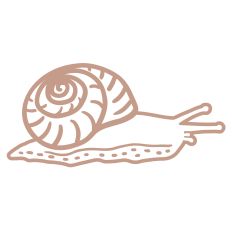 Snail Design - Single Color
