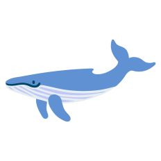 Whale Illustration for Silhouette Studio