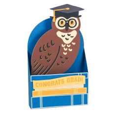 Gradute Owl on Books Card - 3D Graduation Card