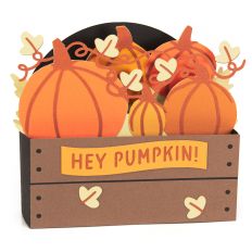 Pumpkins in a Crate Card - 3D Box Card